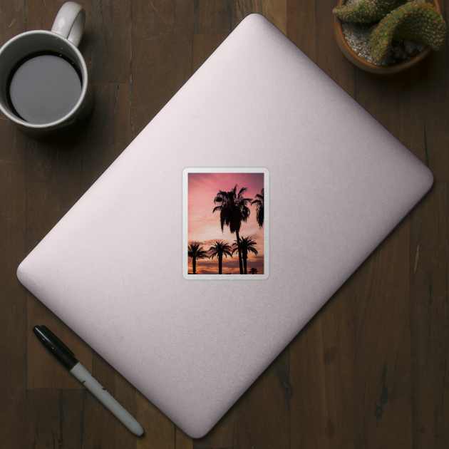 Pink Sunset Palms by NewburyBoutique